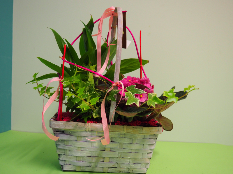 Cesta de plantas mimbre