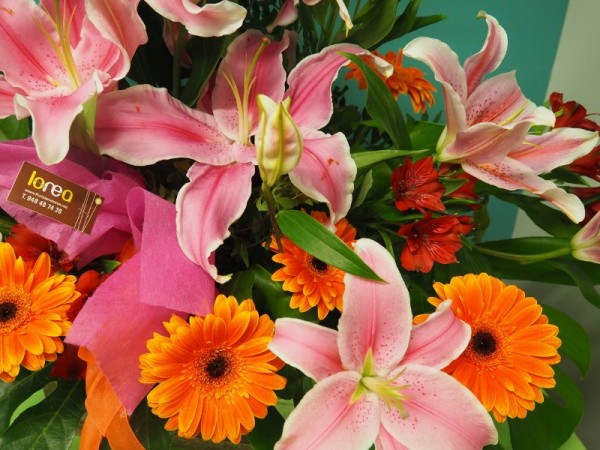 Floristería lorea contrastes 2