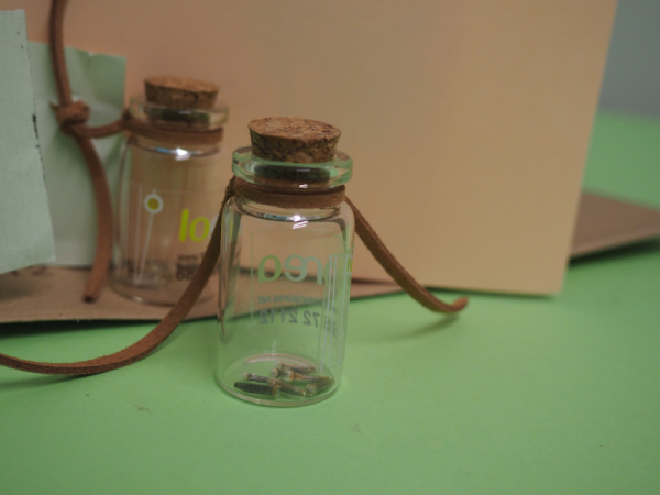 Floristería lorea eguzkilore semillas