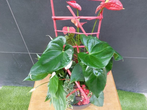 Floristería Lorea 2