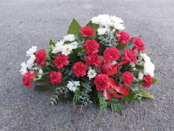 Floristería lorea centro clavel y margarita
