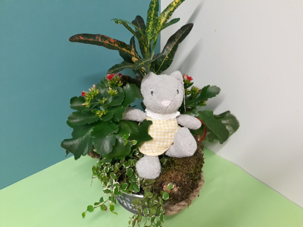 Floristería lorea markel