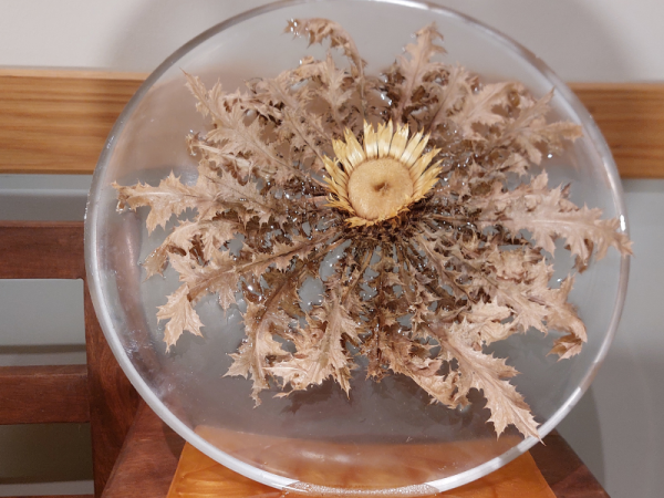 Eguzkilore resina floristeria lorea 2