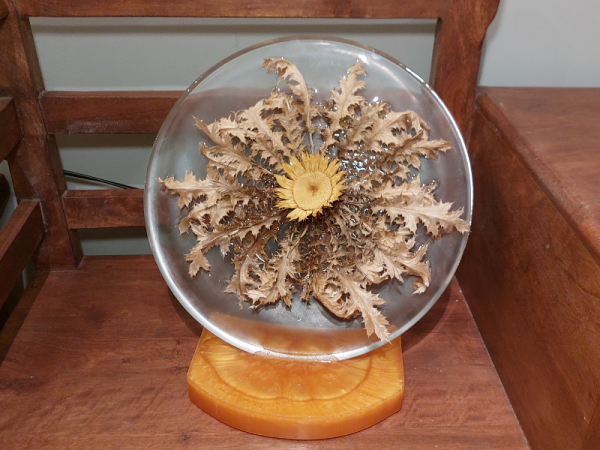 Eguzkilore resina floristeria lorea