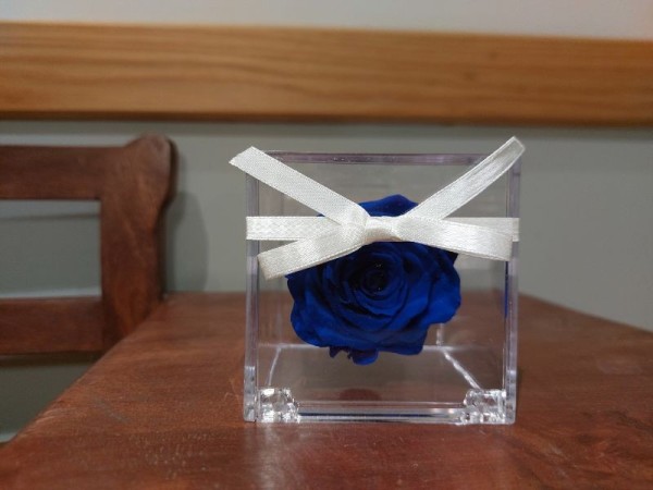 Cabeza de rosa preservada