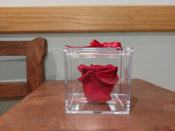 Cabeza de rosa preservada