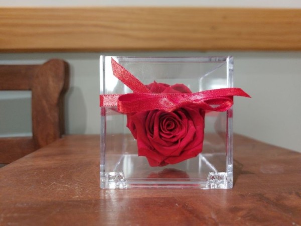 Floristeria-lorea-caja-cabeza-metacrilato