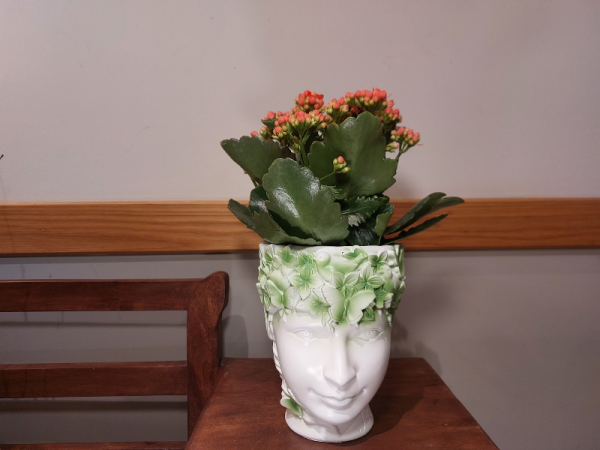 Floristería Lorea 2