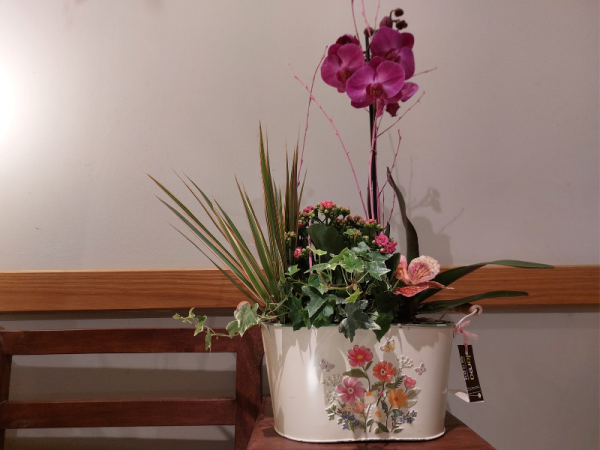 Centro rosa con orquídea