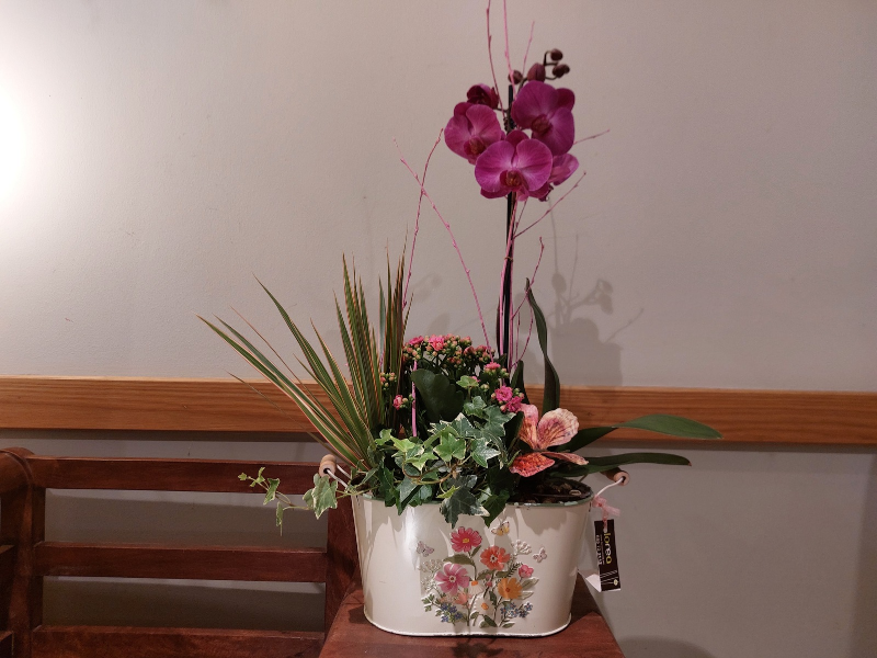 Centro rosa con orquídea