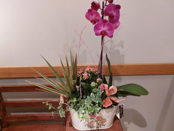 Centro rosa con orquídea