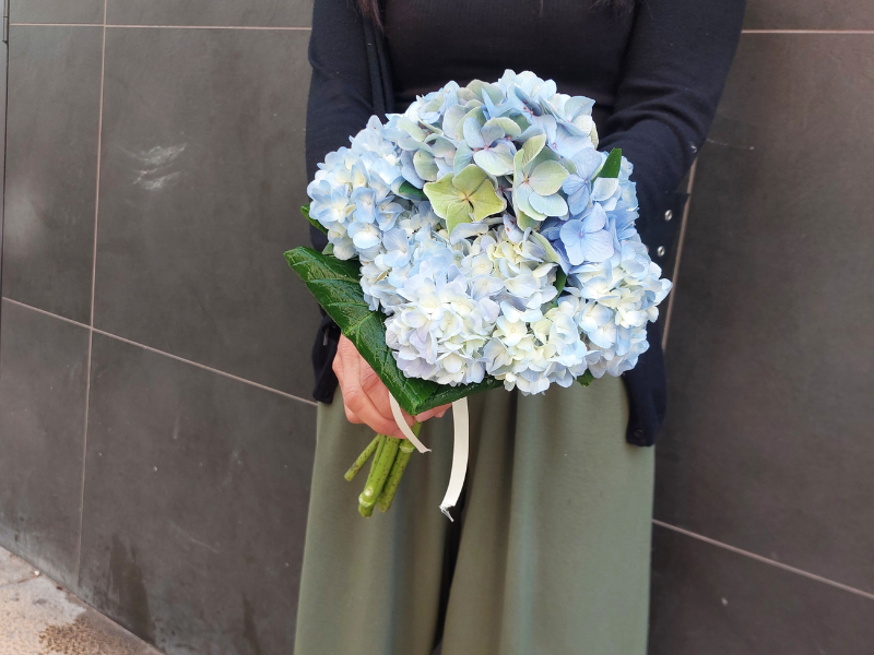 Bouquet de Hortensia