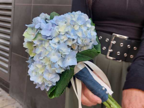 Bouquet de Hortensia 2