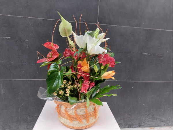 Floristería Lorea