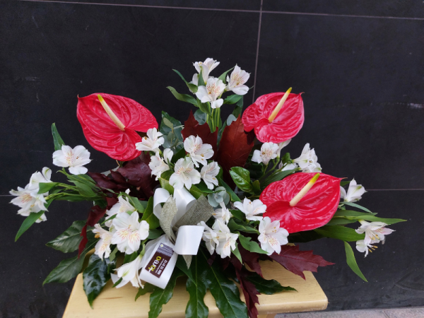 Floristería lorea centro astro panteón