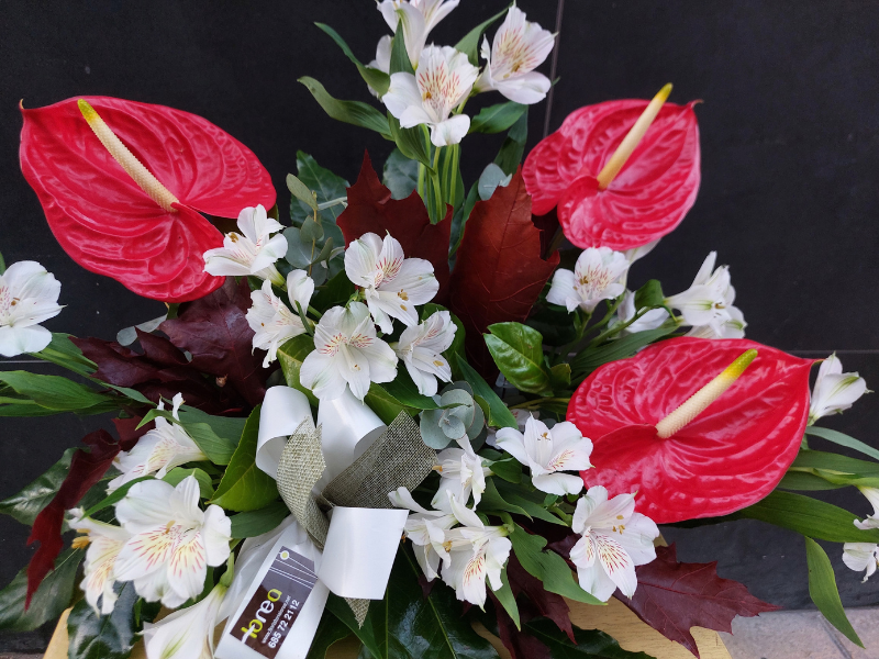 Floristería lorea centro astro panteón detalle