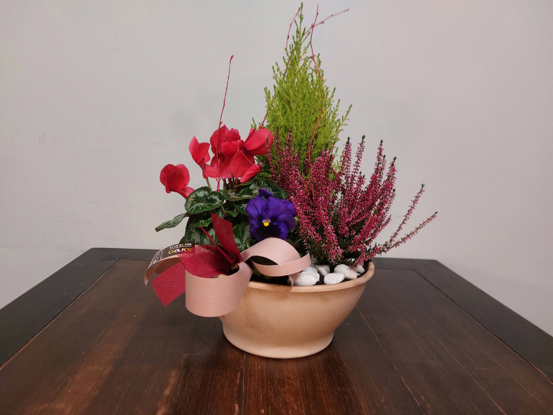 Floristería lorea centro plantas M