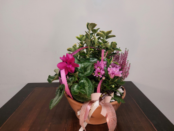 Floristería lorea centro plantas base barro