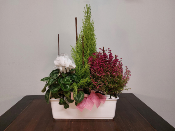 Floristería lorea jardinera santos