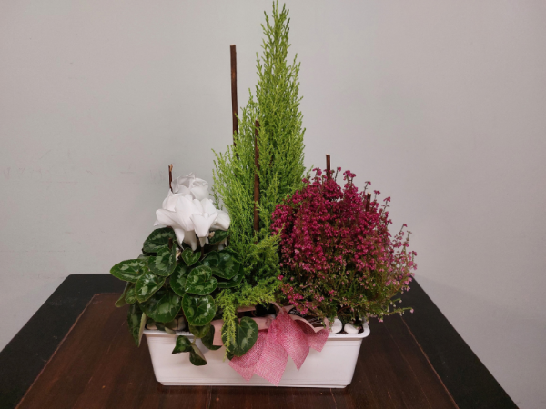 Floristería lorea jardinera santos detalle