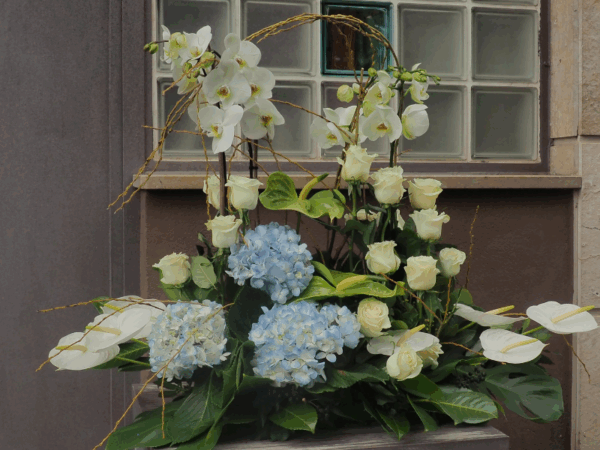 Floristería Lorea centro Eloiso