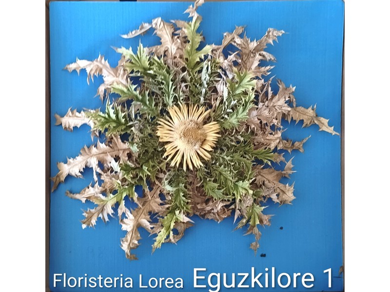 Eguzkilore Natural