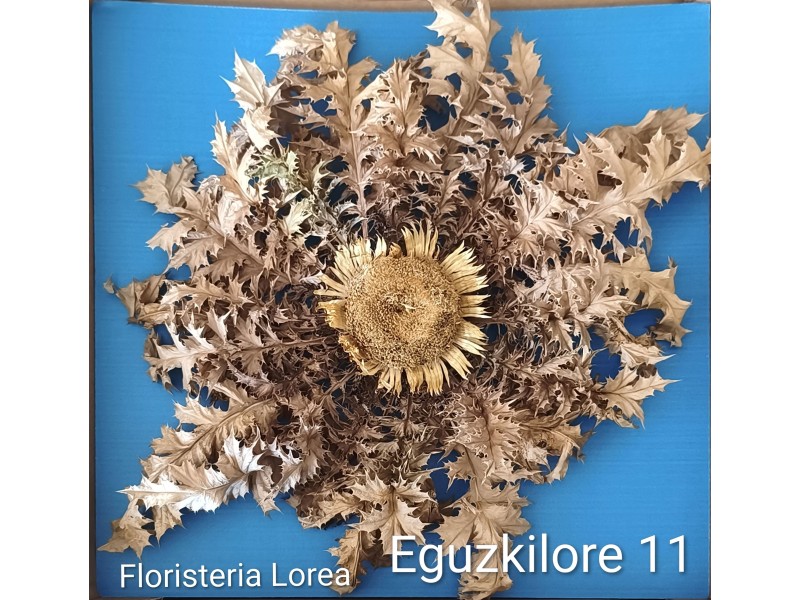 Eguzkilore Natural