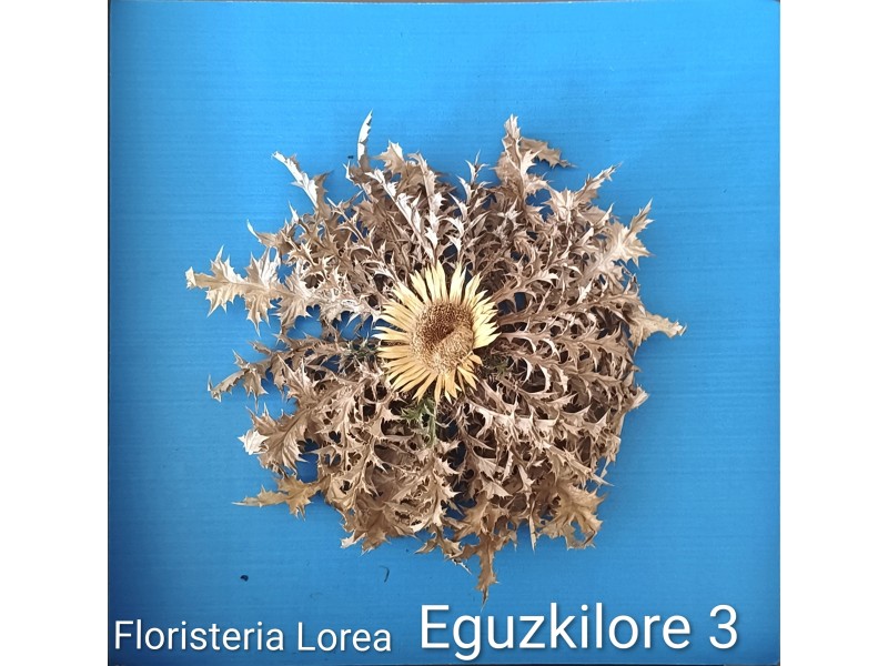 Eguzkilore Natural