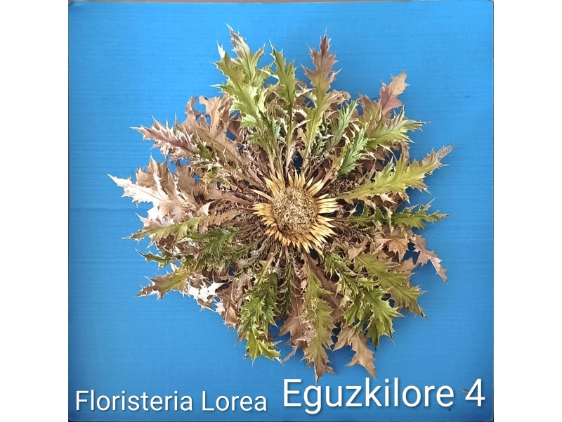 Eguzkilore Natural