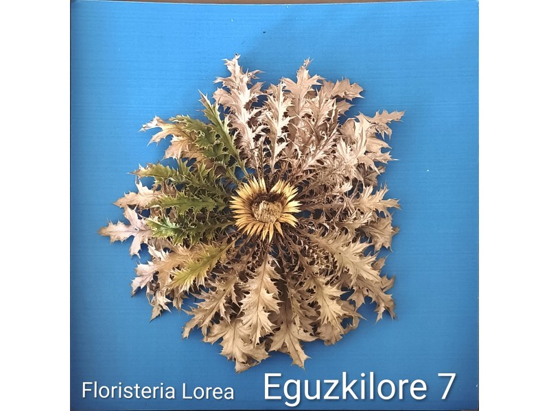Eguzkilore Natural