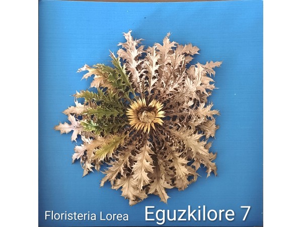 Eguzkilore Natural