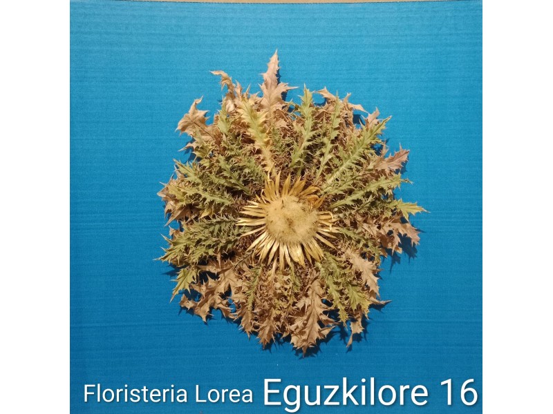 Eguzkilore Natural
