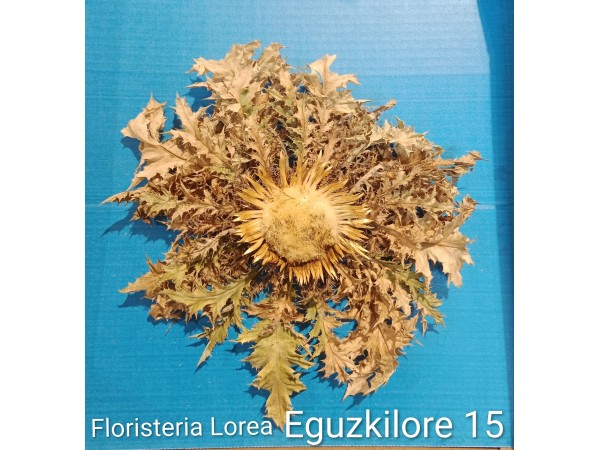 Eguzkilore Natural